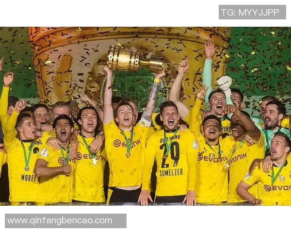 现役足球明星精彩对比图集揭示他们的风格与实力差异