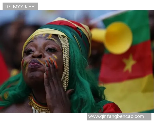 瑞士与喀麦隆足球明星的辉煌历程与精彩对决